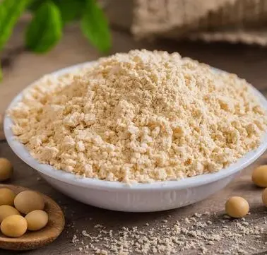 Soy Protein - Essential Additive in Food Industry