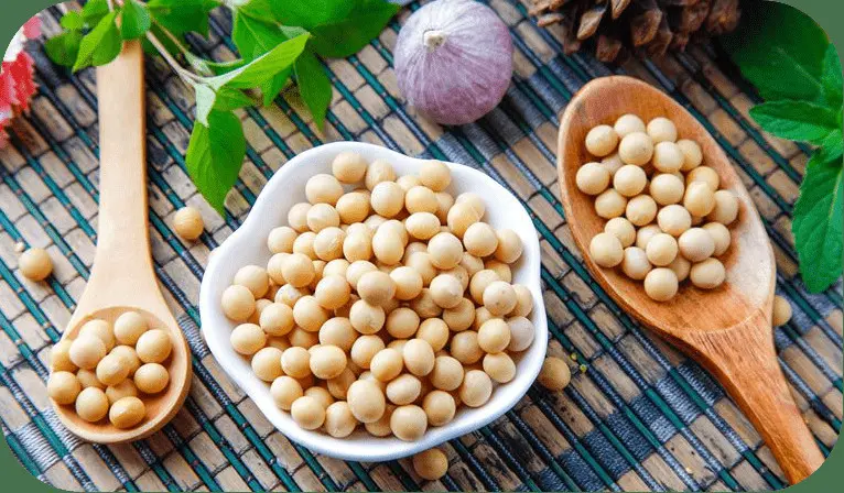Soy Protein (4).jpg